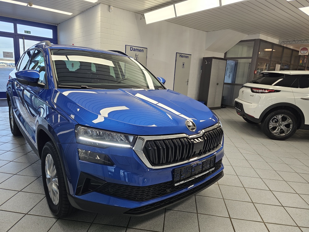 Skoda Karoq – Foto 29