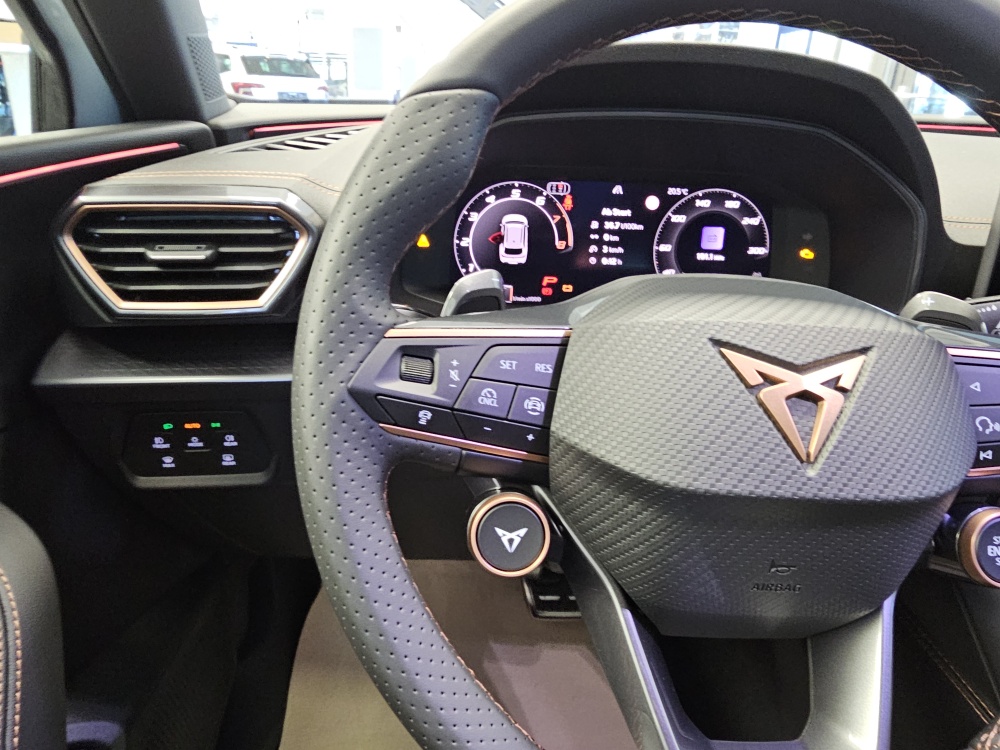 Cupra Leon Sportstourer – Foto 19