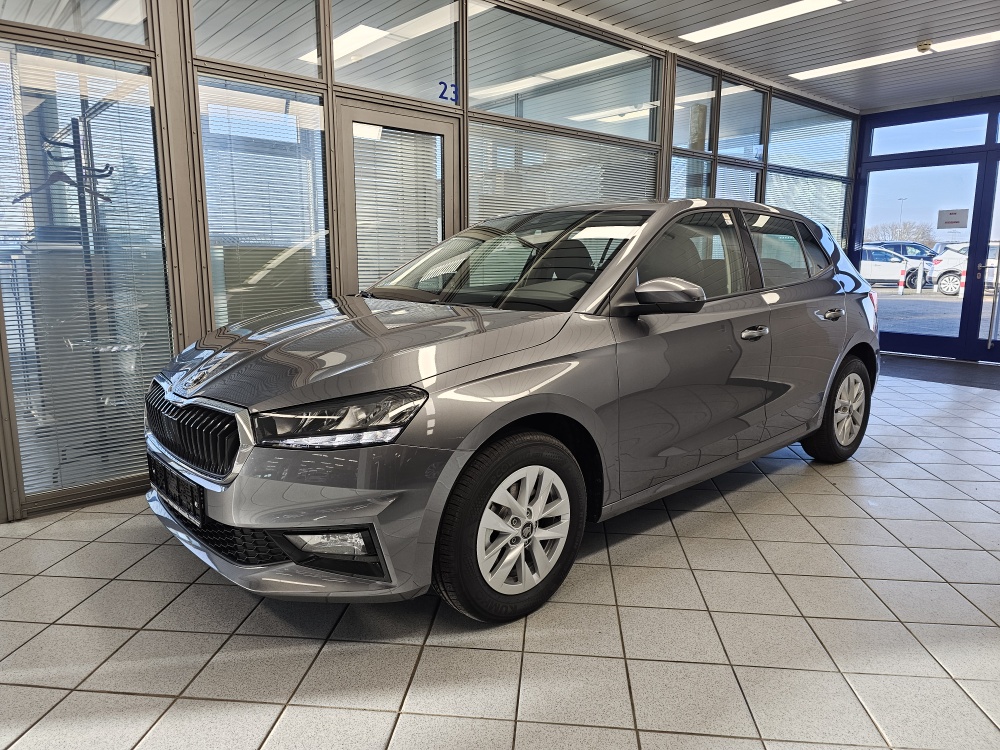 Skoda Fabia Selection