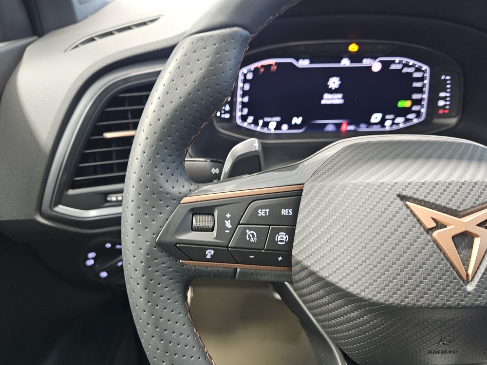 Cupra Ateca – Foto 23