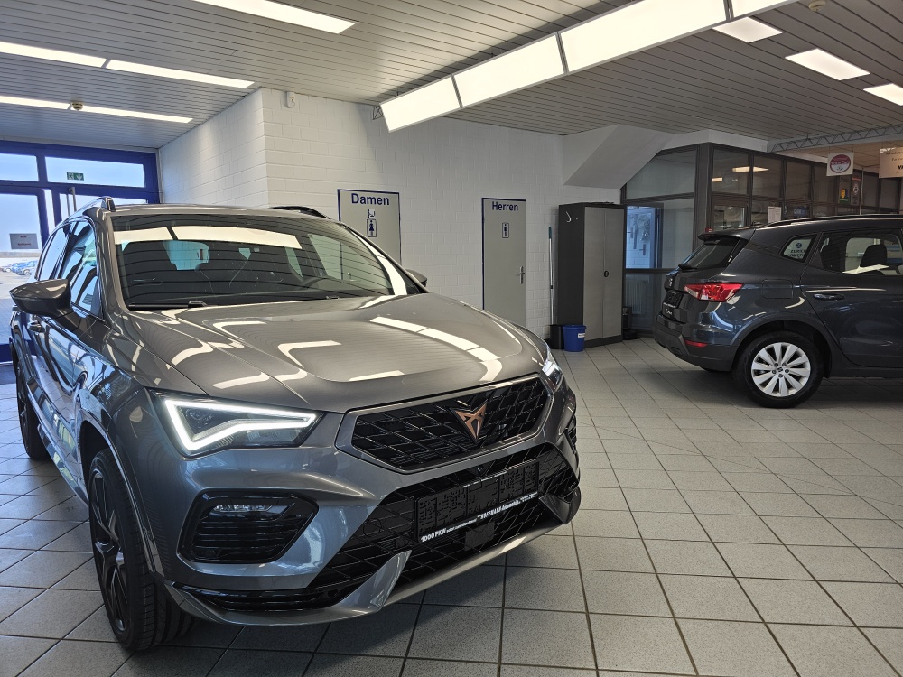 Cupra Ateca – Foto 33