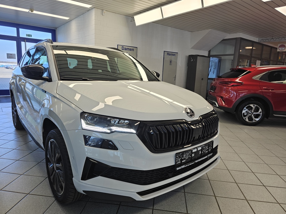 Skoda Karoq – Foto 35