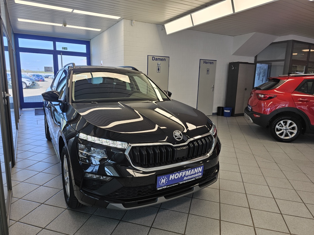 Skoda Kamiq – Foto 29