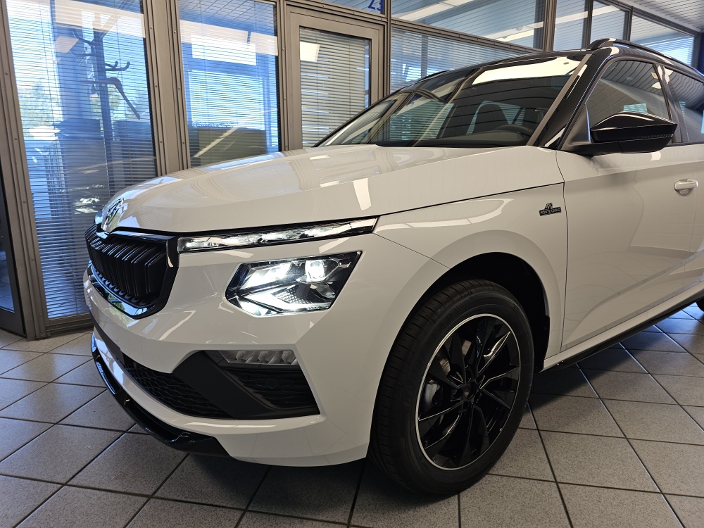 Skoda Kamiq – Foto 24