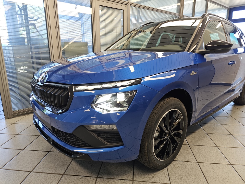 Skoda Kamiq – Foto 25
