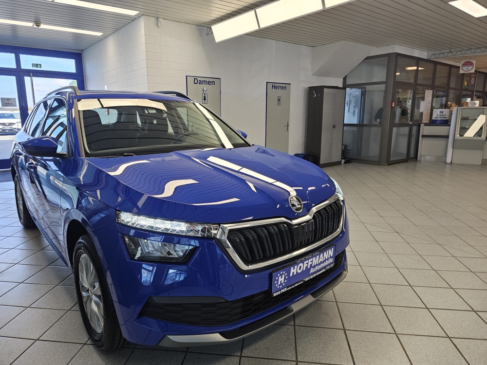 Skoda Kamiq – Foto 25