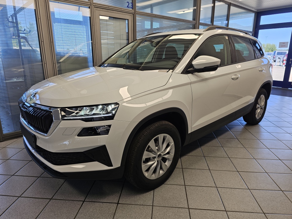 Skoda Karoq Selection