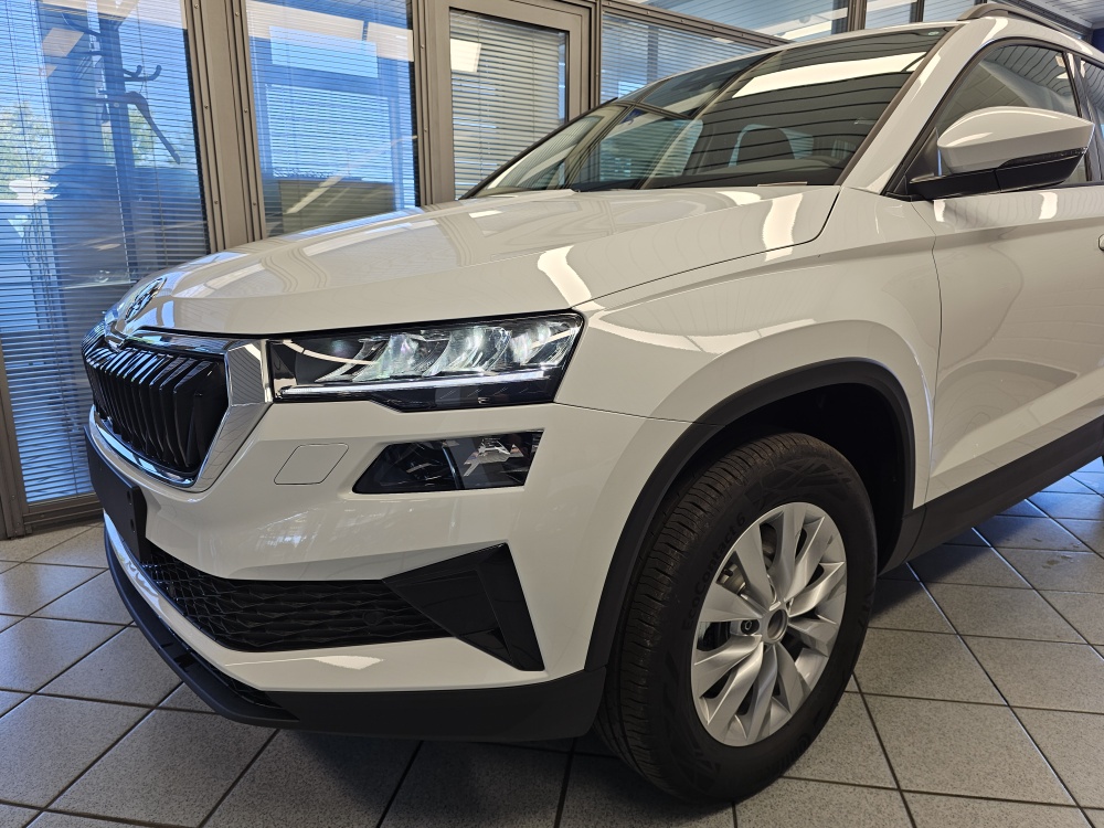Skoda Karoq – Foto 28