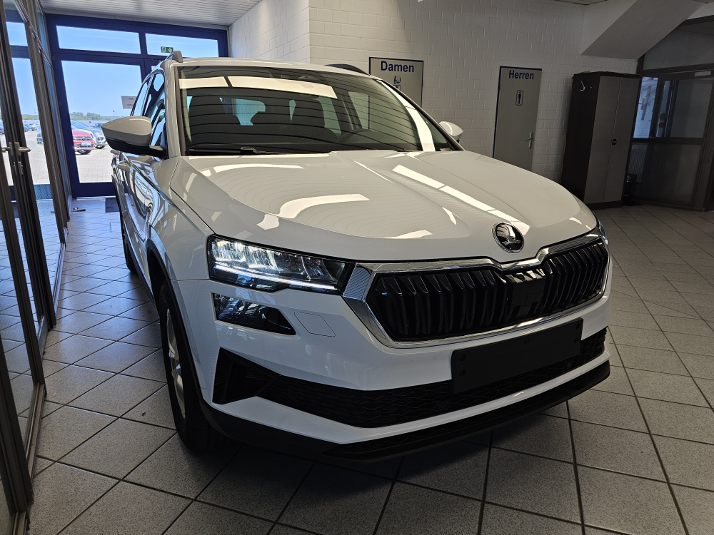 Skoda Karoq – Foto 30