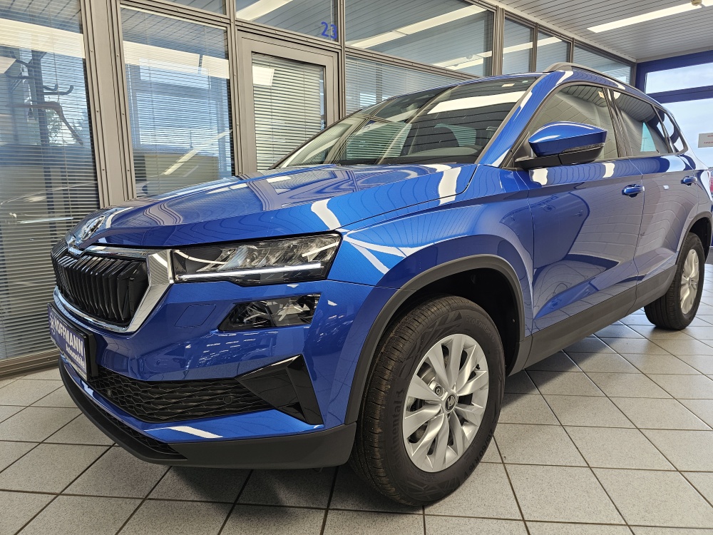 Skoda Karoq – Foto 25
