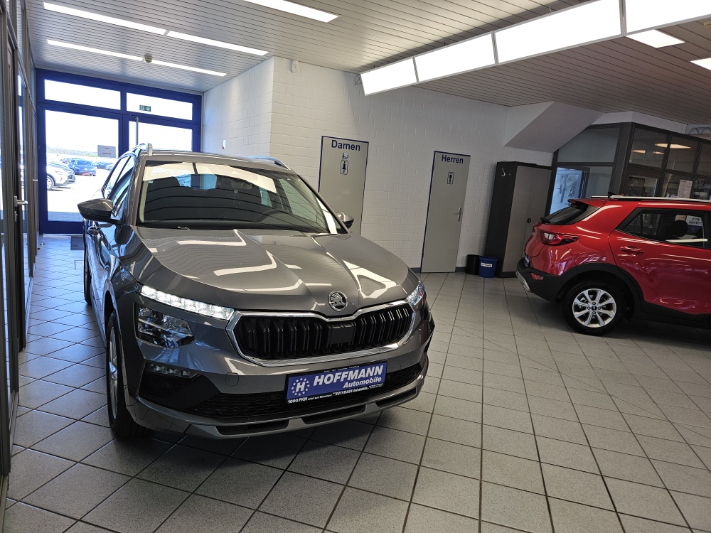 Skoda Kamiq – Foto 30