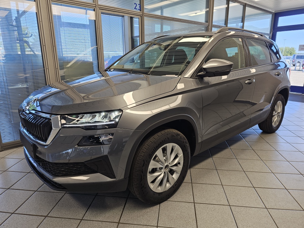 Skoda Karoq Selection