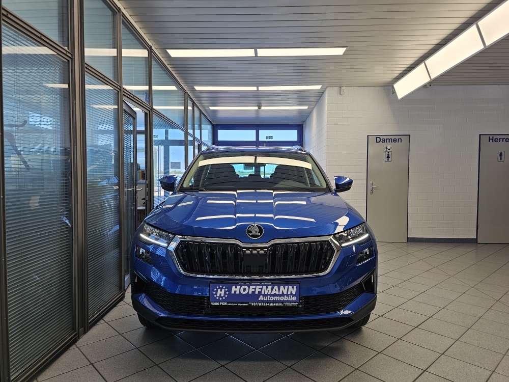 Skoda Karoq – Foto 25