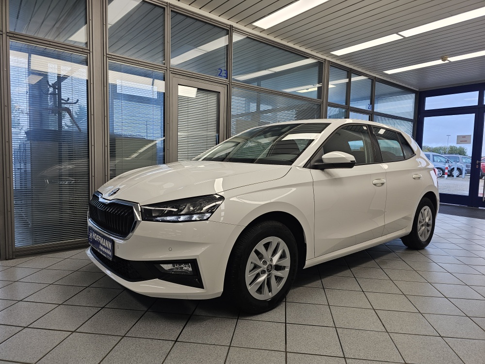 Skoda Fabia Selection