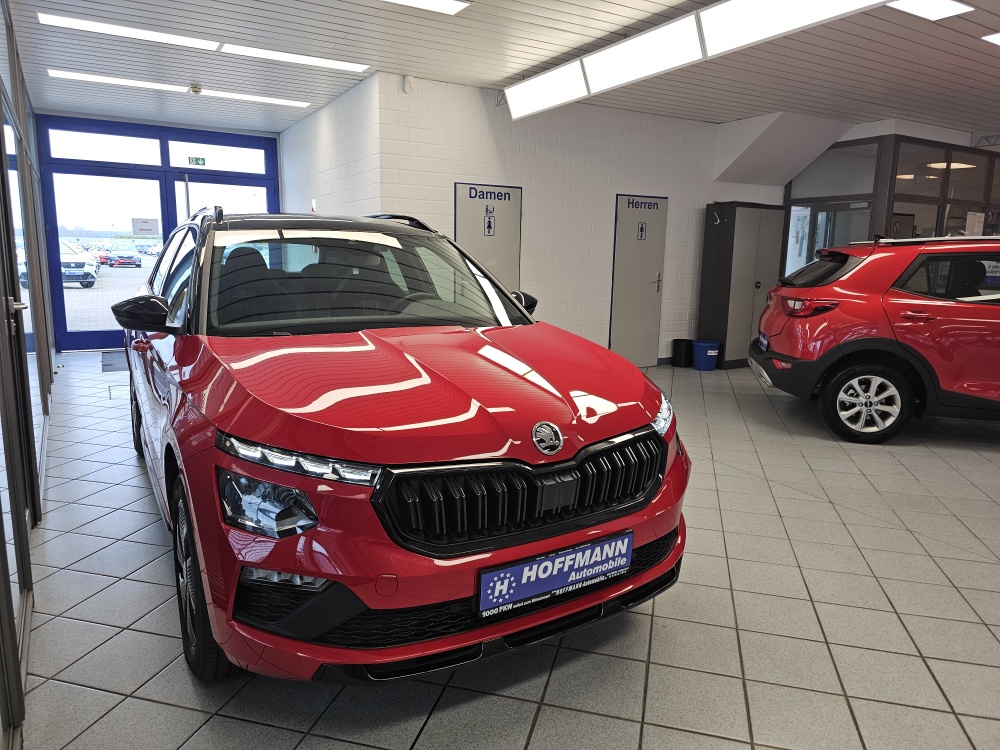 Skoda Kamiq – Foto 31