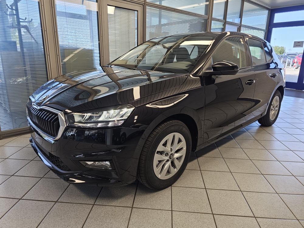 Skoda Fabia Selection