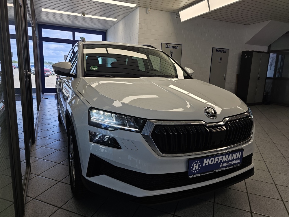 Skoda Karoq – Foto 29