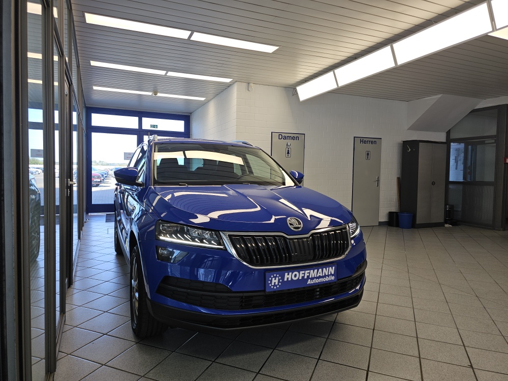 Skoda Karoq – Foto 28