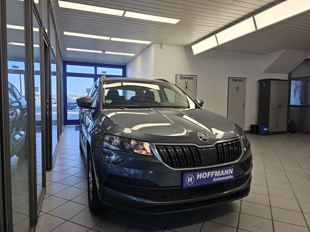 Skoda Karoq – Foto 23