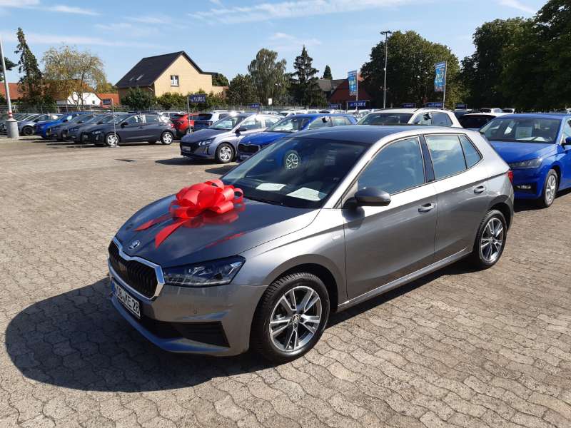 Kundenbewertung zu Skoda Fabia