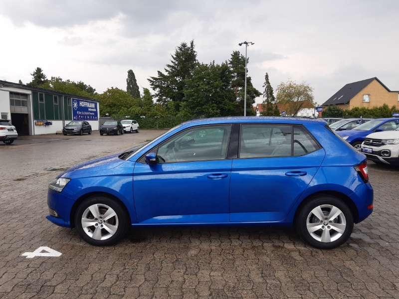 Kundenbewertung zu Skoda Fabia